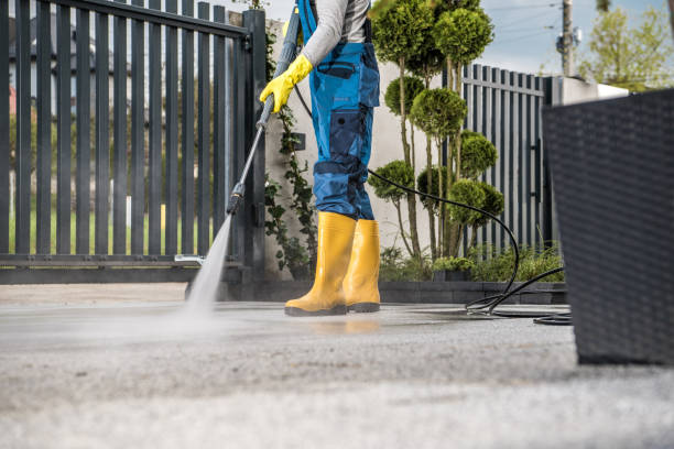 Best Deck Cleaning Services  in Forest City, PA