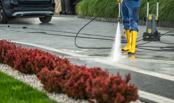 Best House Pressure Washing  in Forest City, PA
