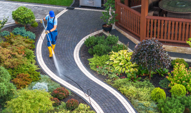 Best Roof Pressure Washing  in Forest City, PA